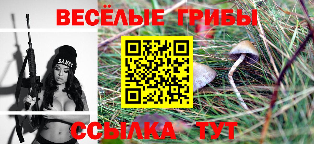 Псилоцибиновые грибы Cubensis Азнакаево